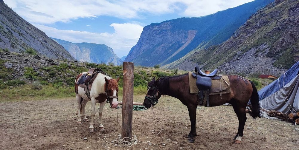 Photograph by Полина Скурская