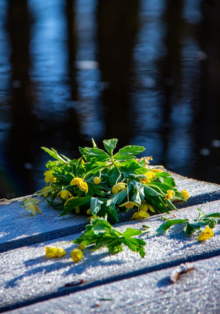 Photograph by Бамблевская Любовь Игоревна