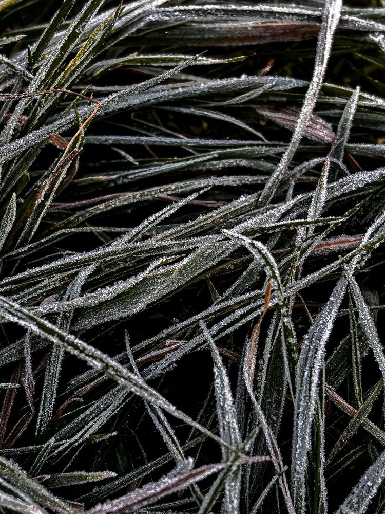 Photograph by Юлия Куклина