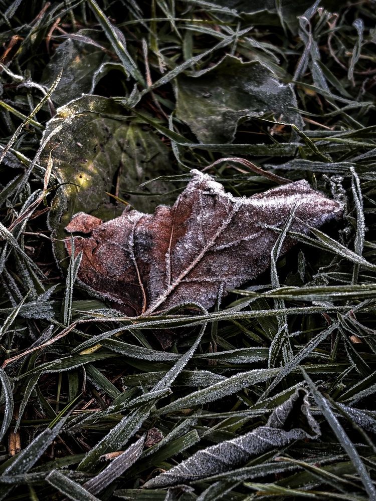 Photograph by Юлия Куклина