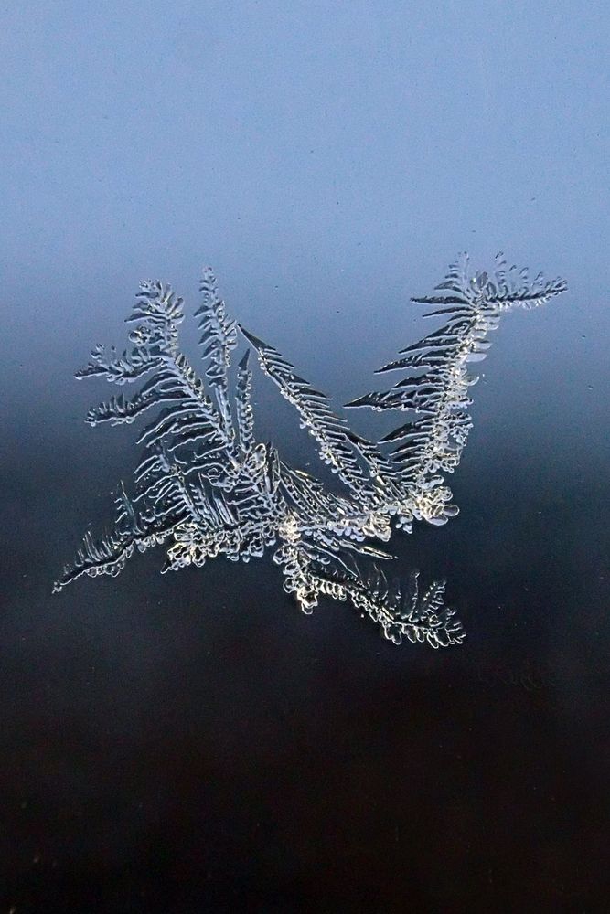 Ледяной дракон-Галактион