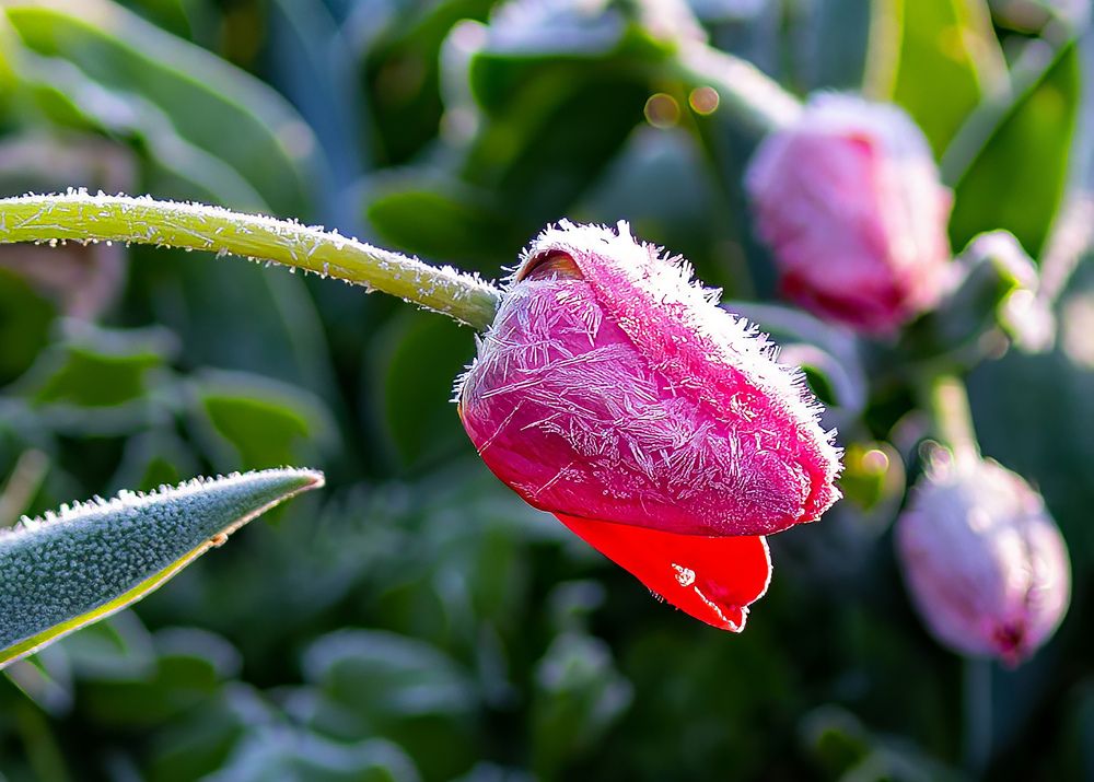 Photograph by Бамблевская Любовь Игоревна