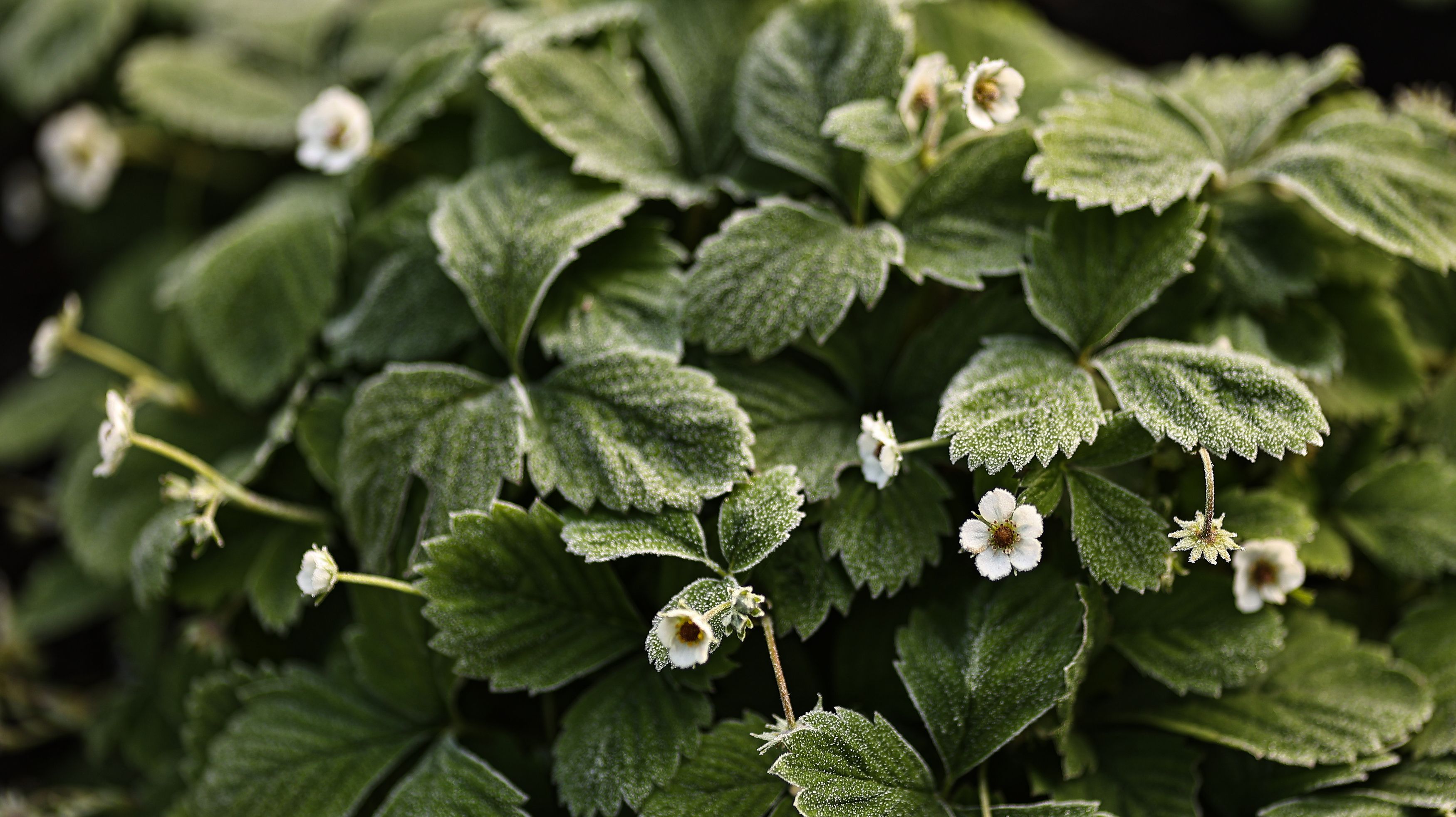 Photograph by Елена Одынец