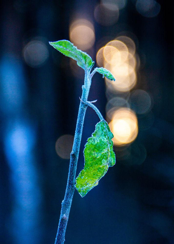 Photograph by Бамблевская Любовь Игоревна