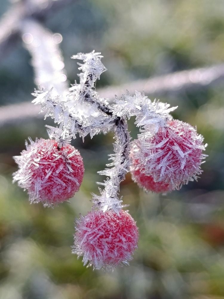 Photograph by Юлия Некрасова