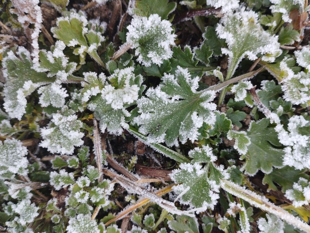 Photograph by Бьёрк