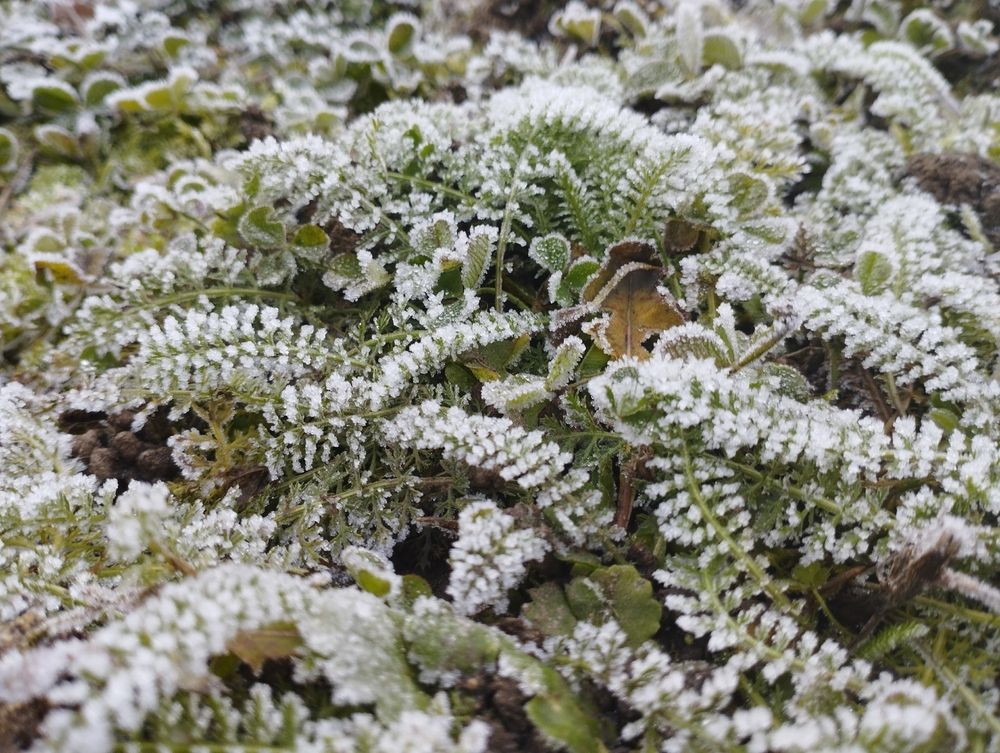 Photograph by Бьёрк