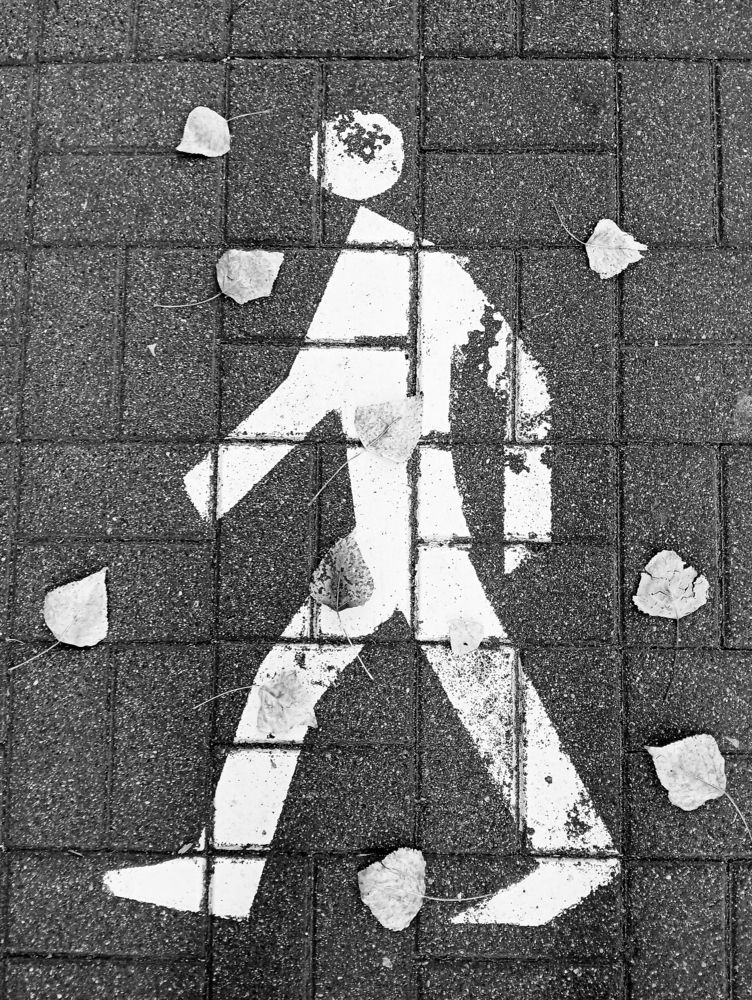 Направление - осень