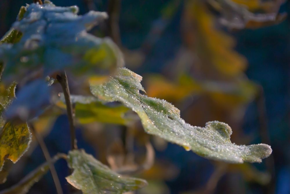 Photograph by Любовь Бусова