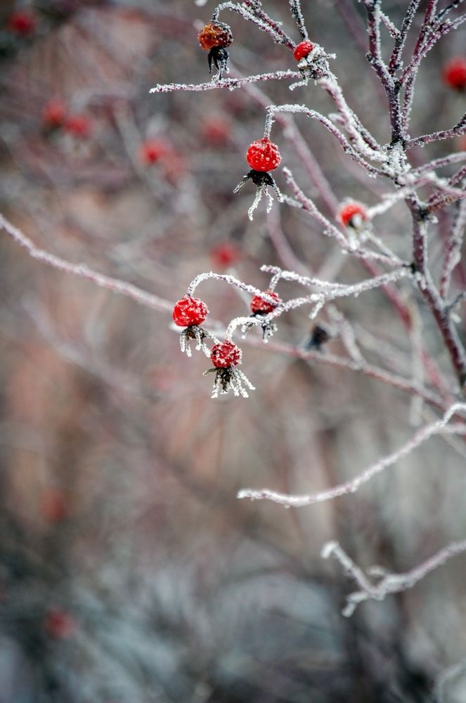 Photograph by Любовь Бусова