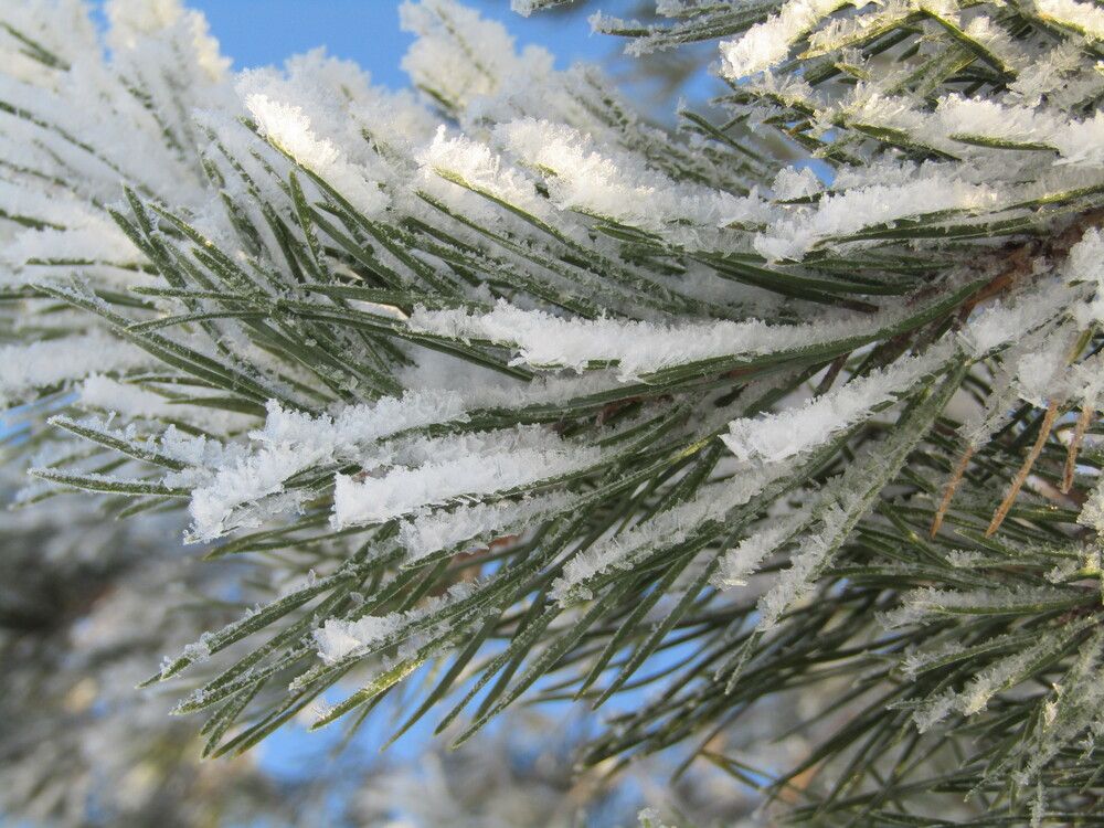 Photograph by Татьяна Смирнова