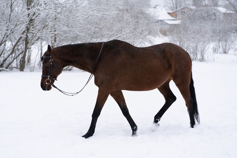Photograph by Екатерина Одинцова