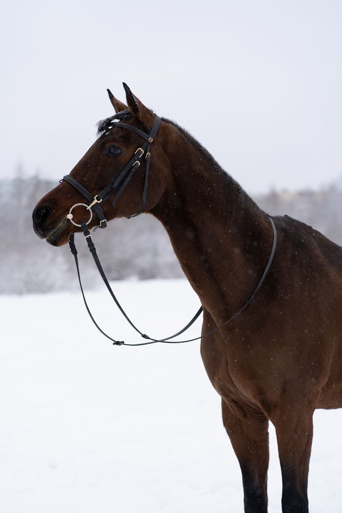 Photograph by Екатерина Одинцова