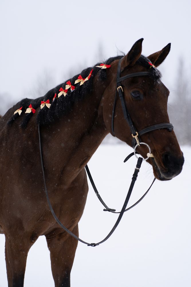 Photograph by Екатерина Одинцова