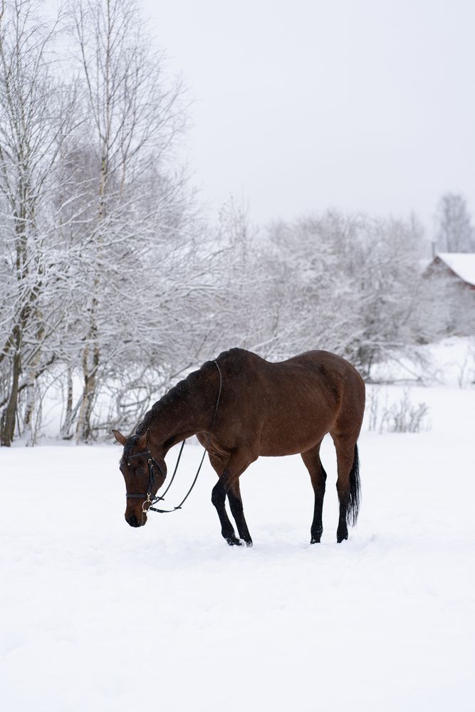 Photograph by Екатерина Одинцова