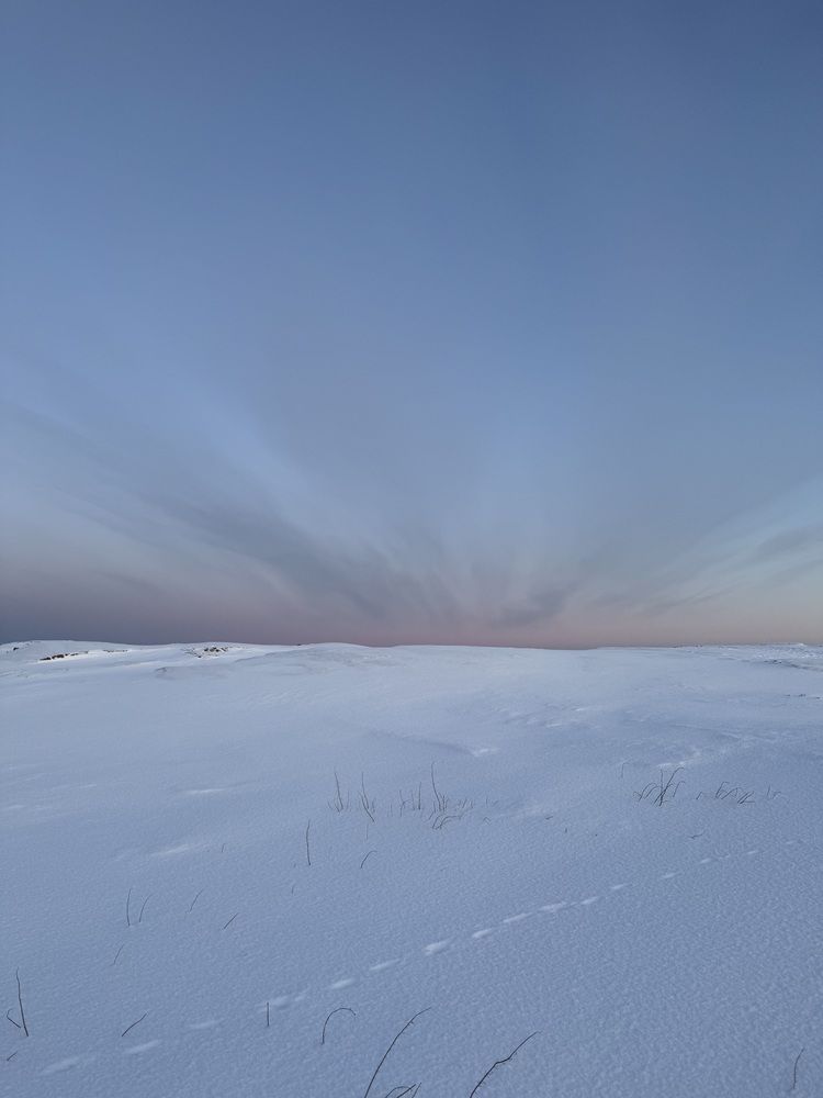 Фотография автора Светлана Ляпина