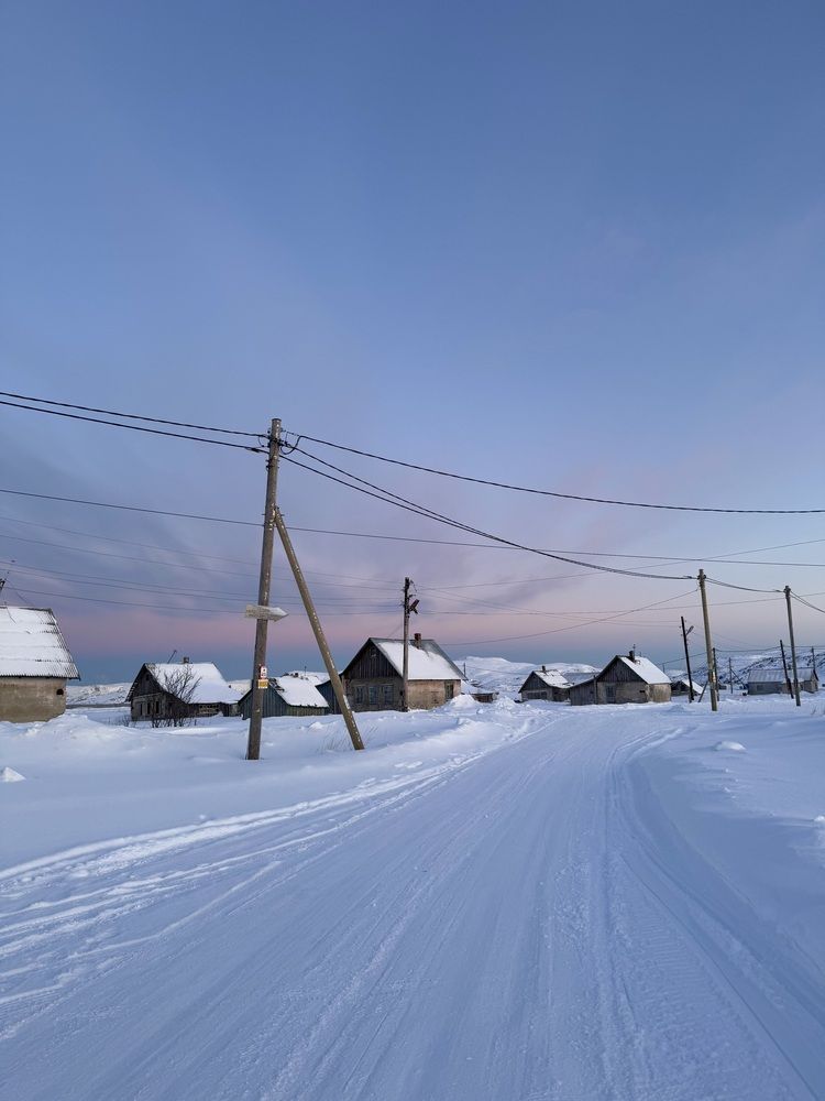 Фотография автора Светлана Ляпина