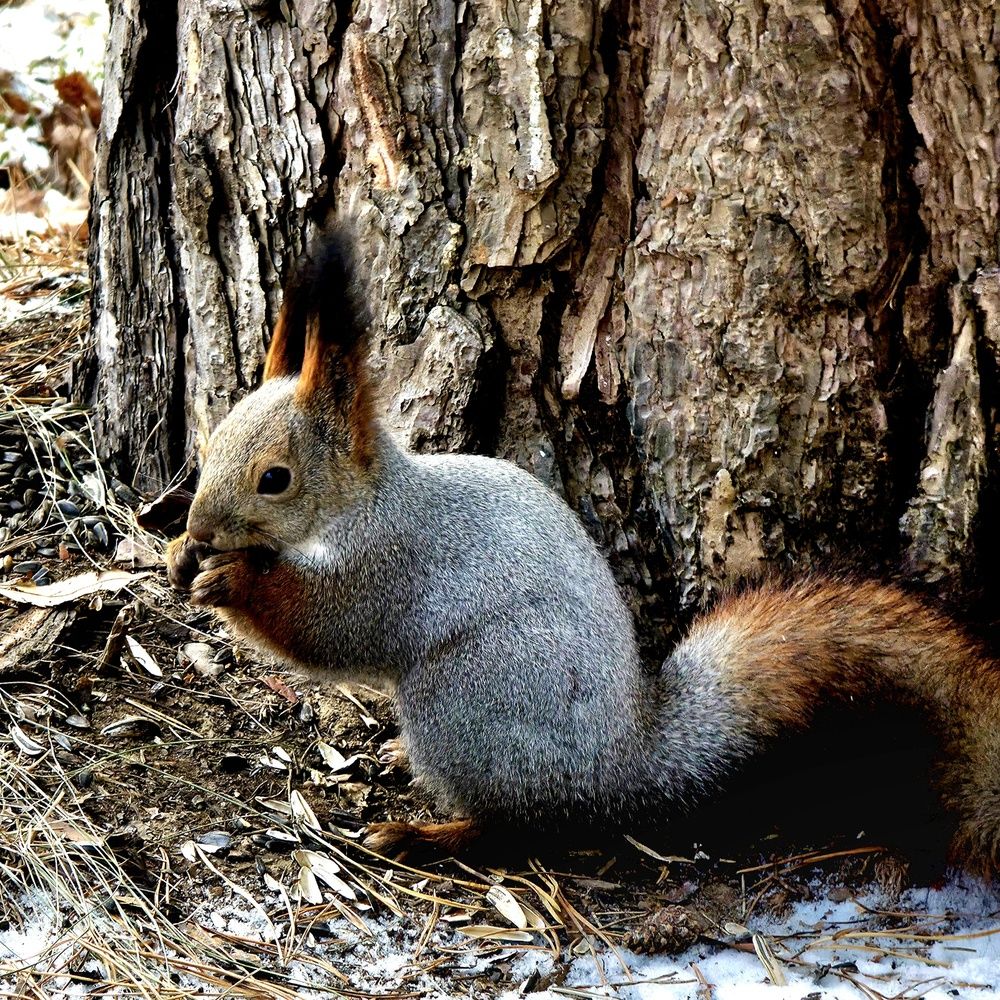 Photograph by Александр Вихарев