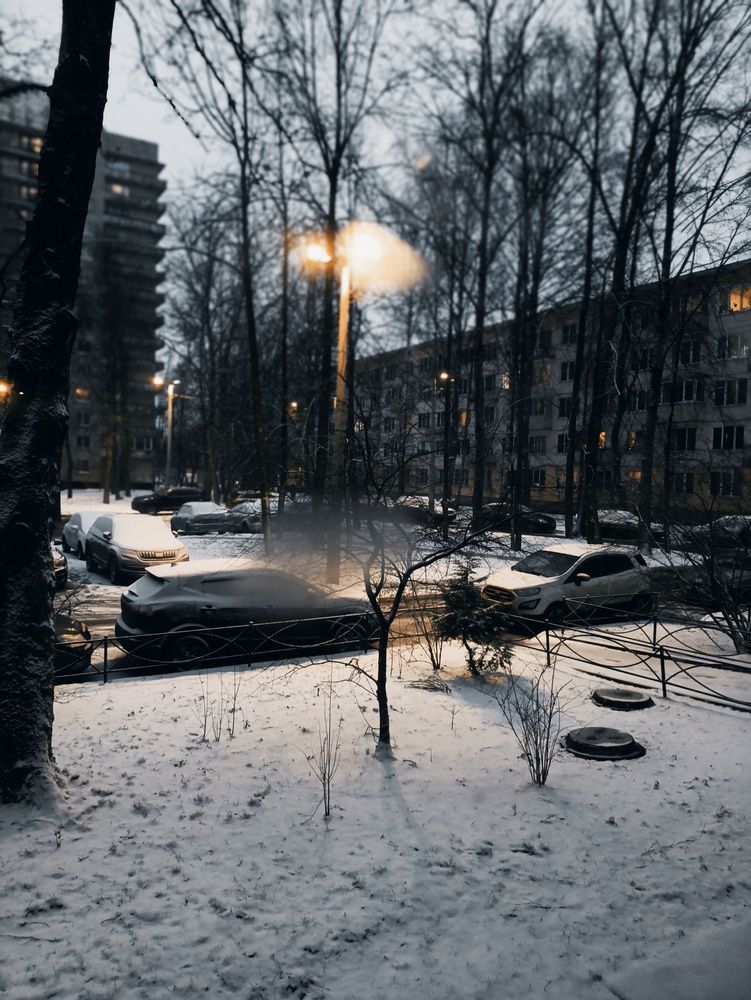 Photo #13010719