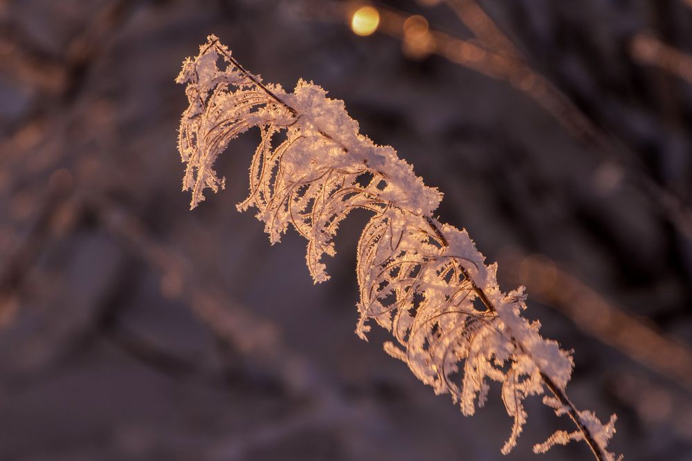 Фотография автора Viktoriya Kim