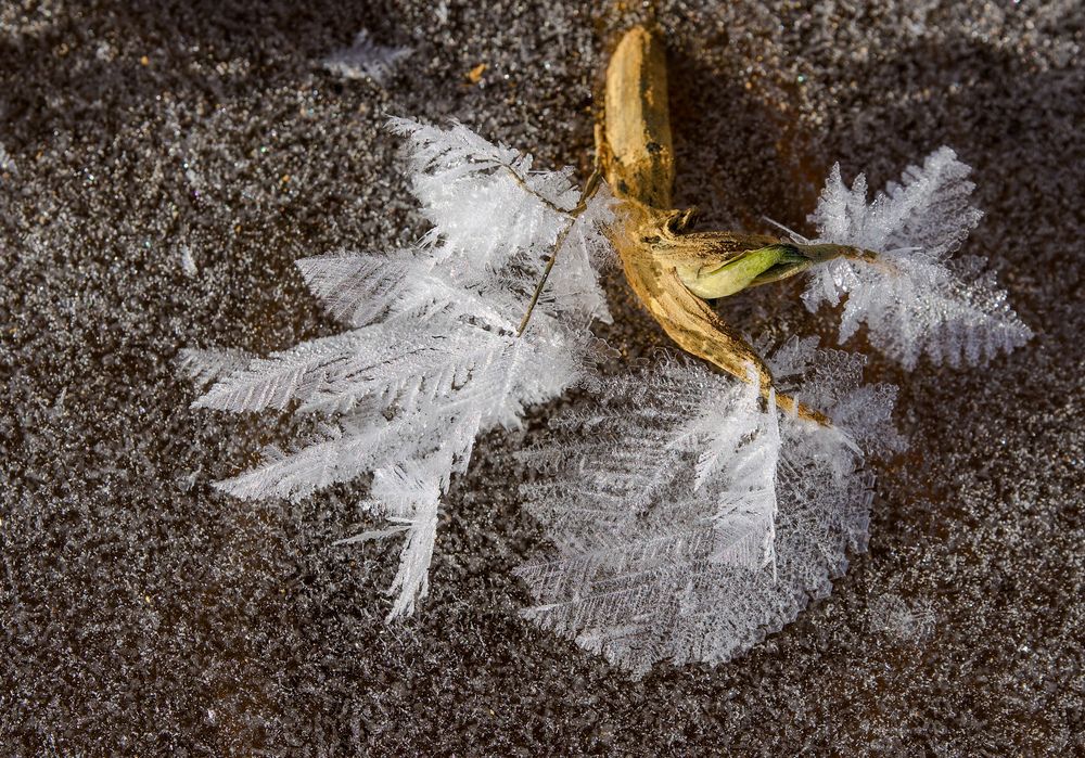 Фотография автора Viktoriya Kim