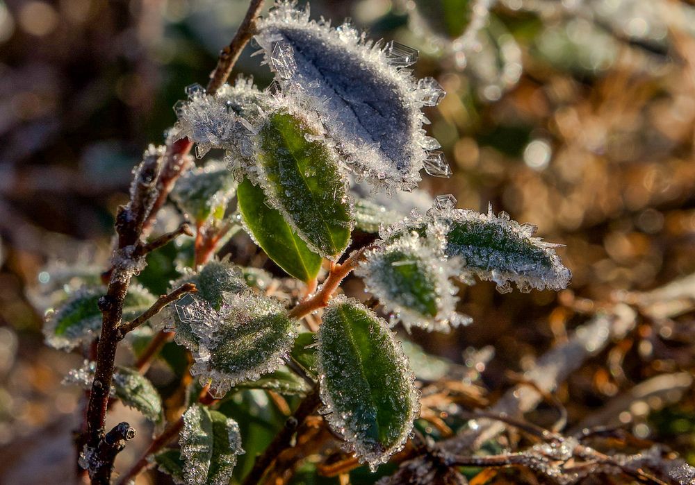 Фотография автора Viktoriya Kim