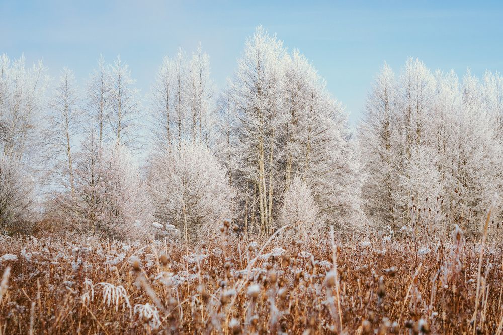 Photograph by Денис Мазычев