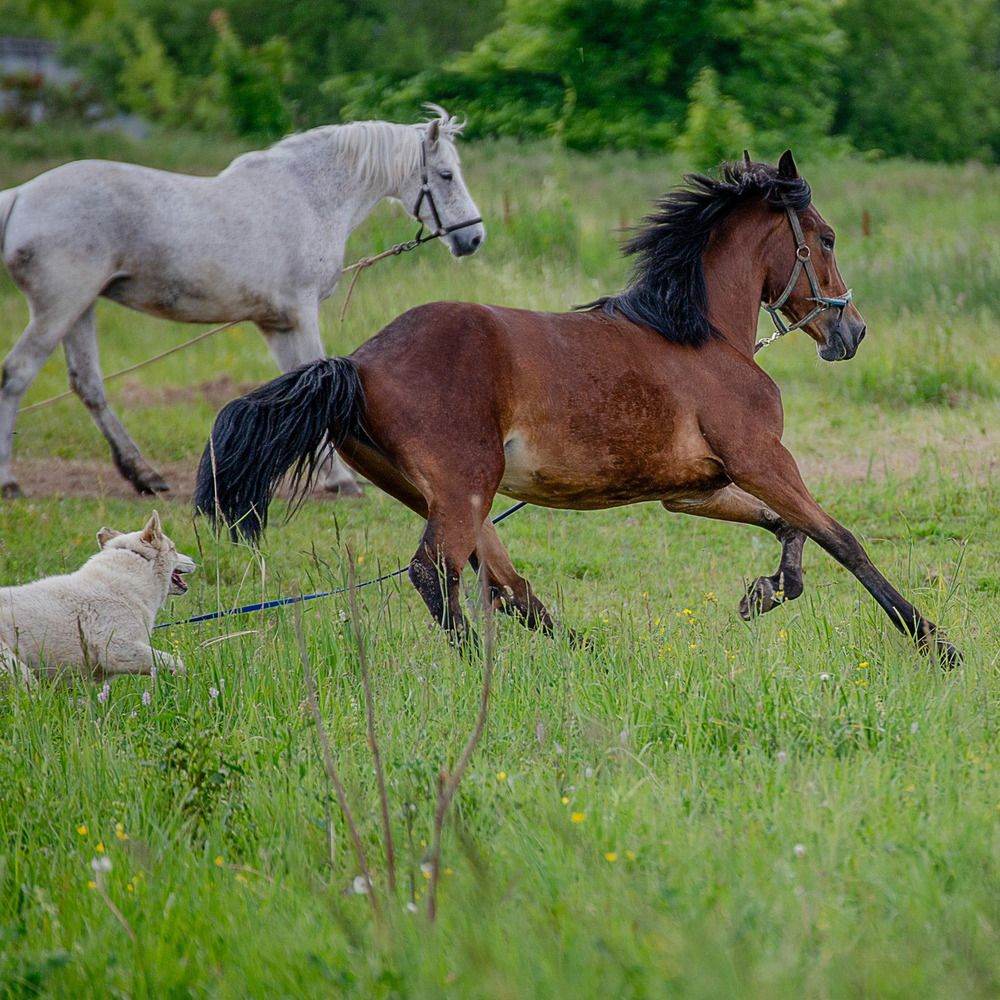 Photograph by Илья Чирков