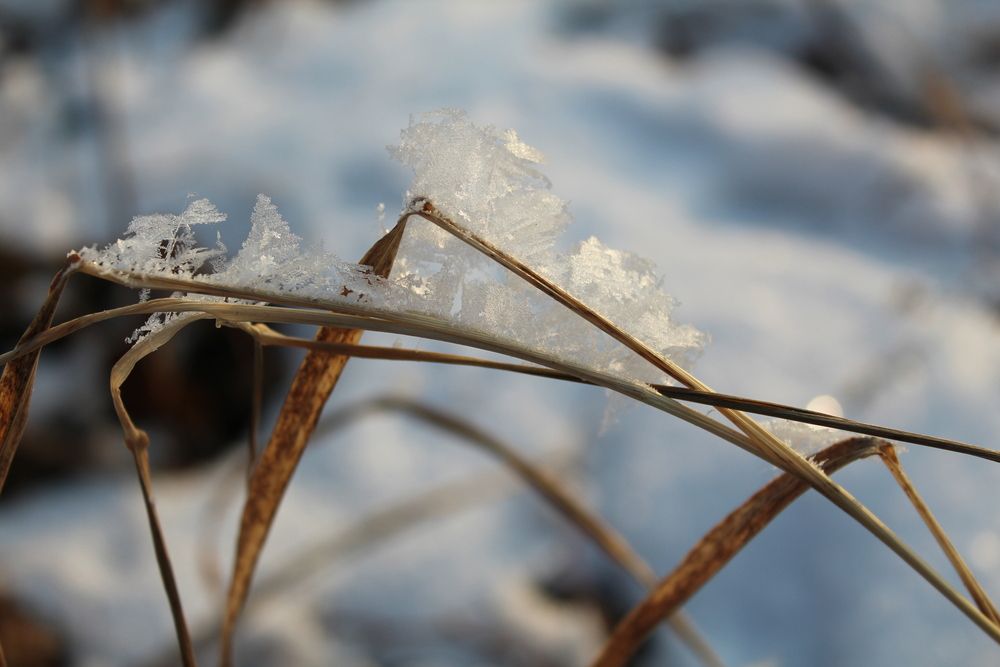 Photograph by Любовь Войводич