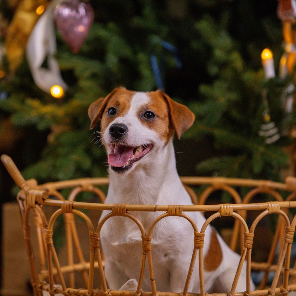 Photograph by Ольга