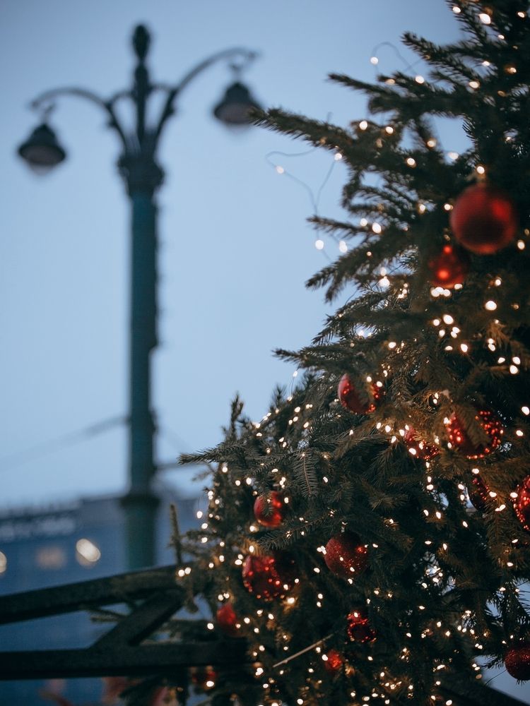 Фотография автора Elena Chilikina