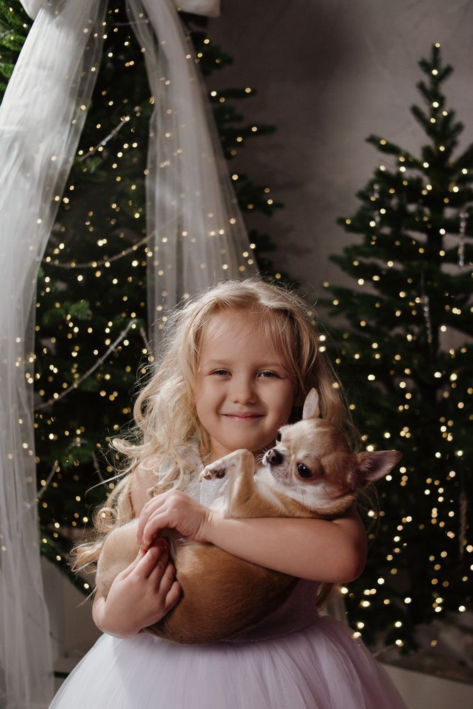 Фотография автора Анастасия Шаехова