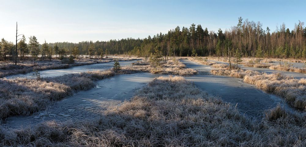 Photograph by Алексей Поляков