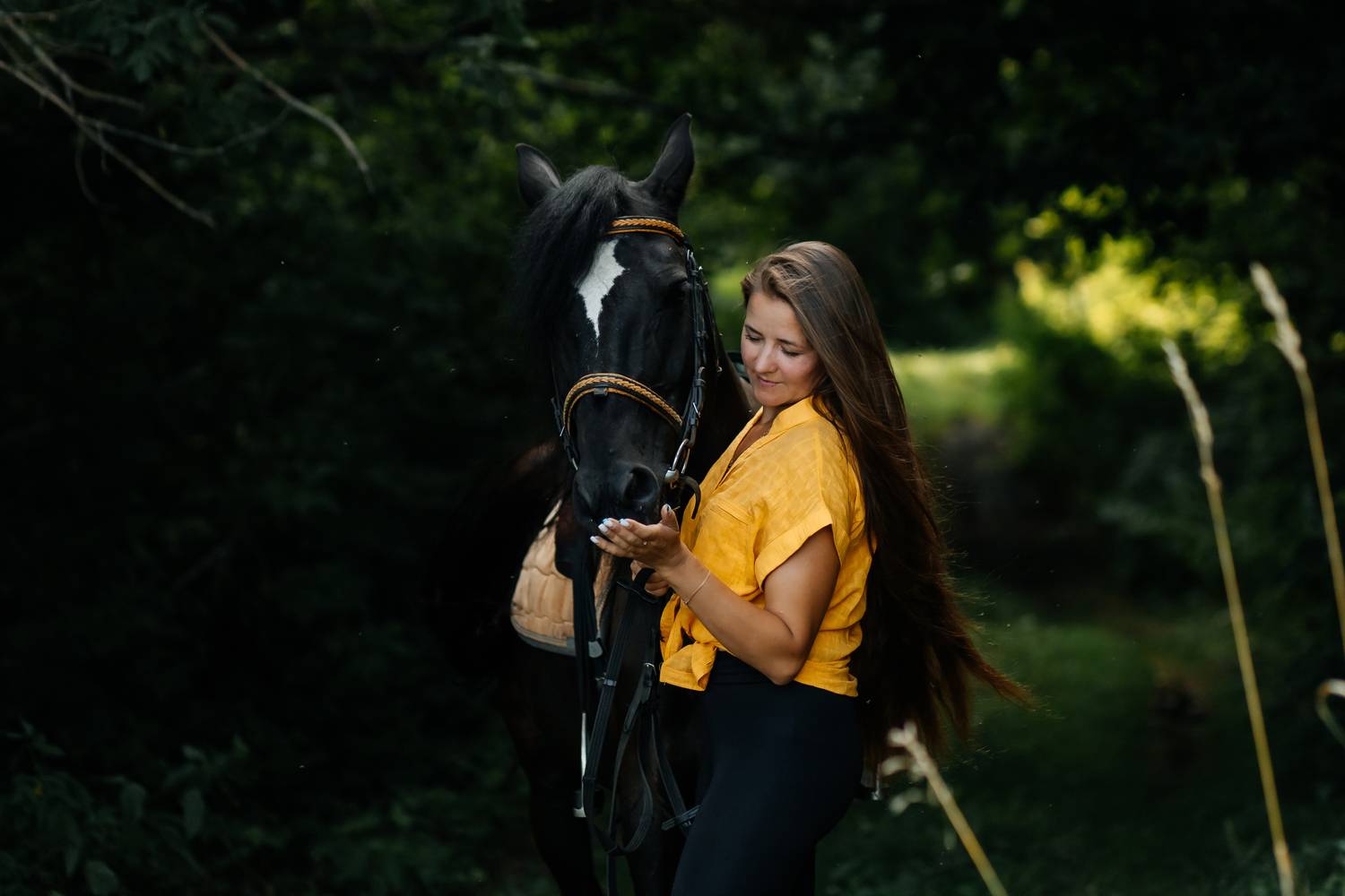 Фотография #13010857