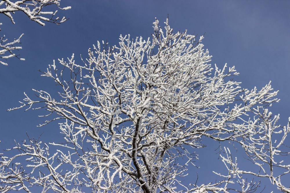 Photograph by Вячеслав