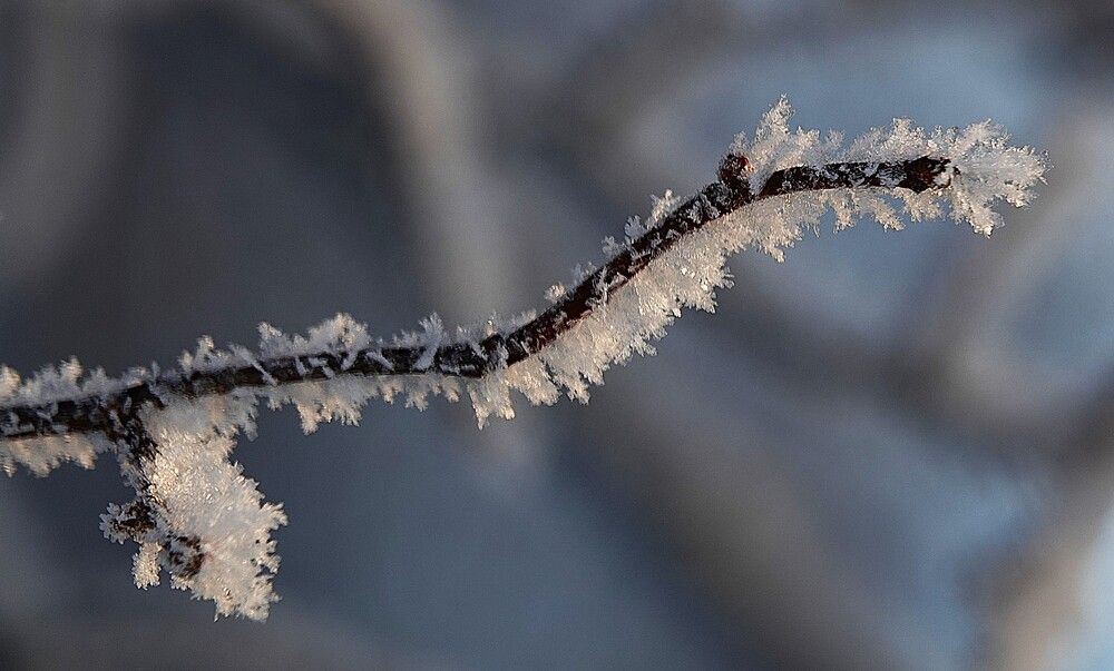 Photograph by Zakharov Matvey