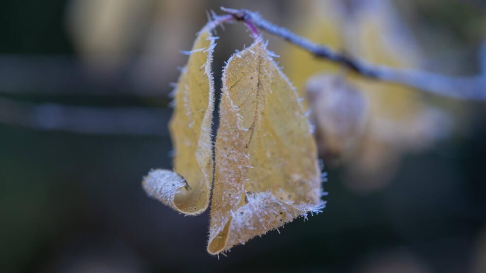 Photograph by Ксения Шилина