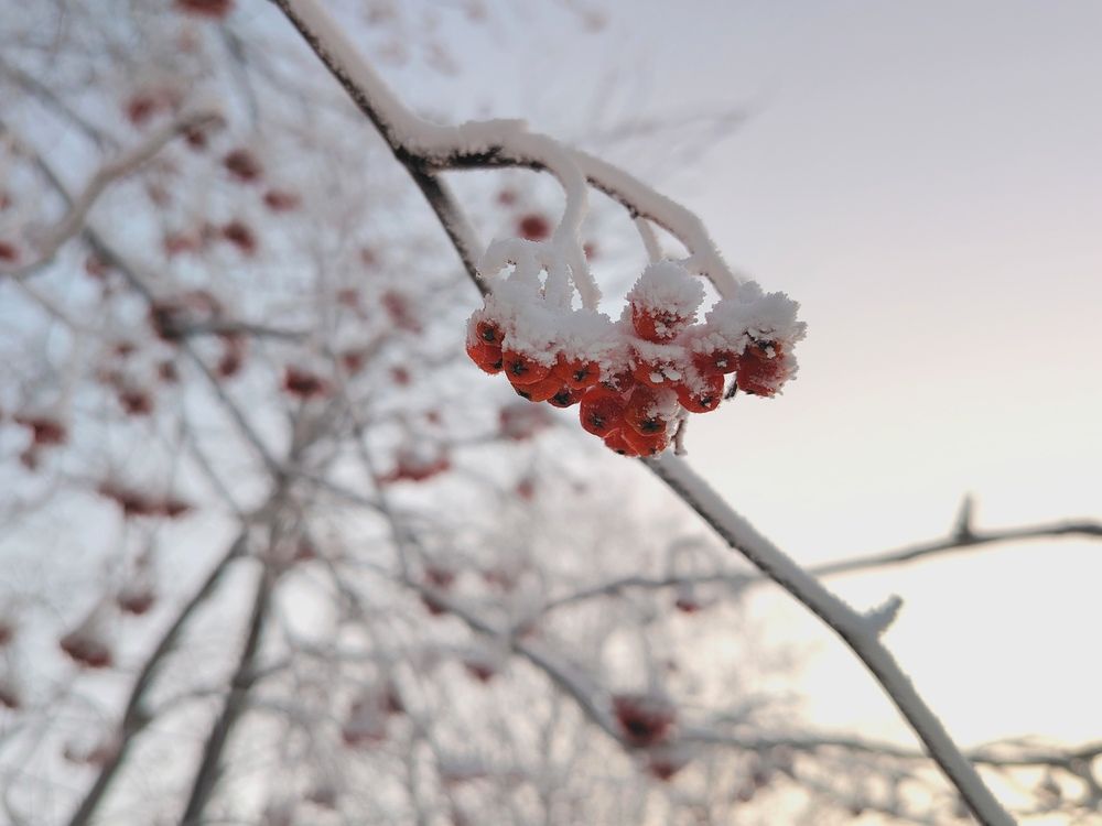 Photograph by Виталий Са