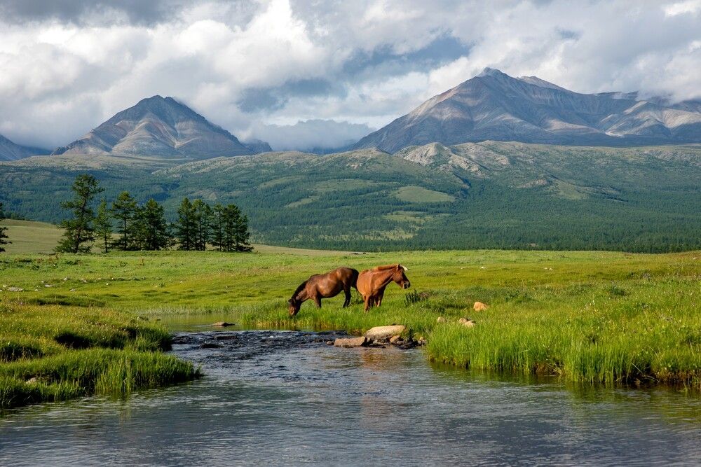 Photograph by Yuriy Maltsev