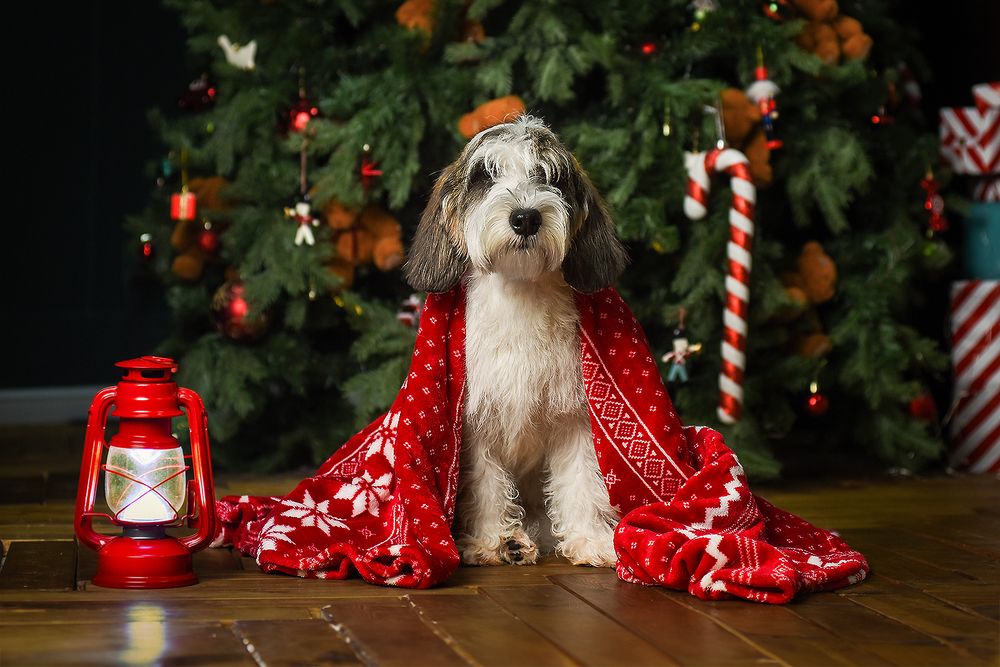 Photograph by Виктория Сафонова