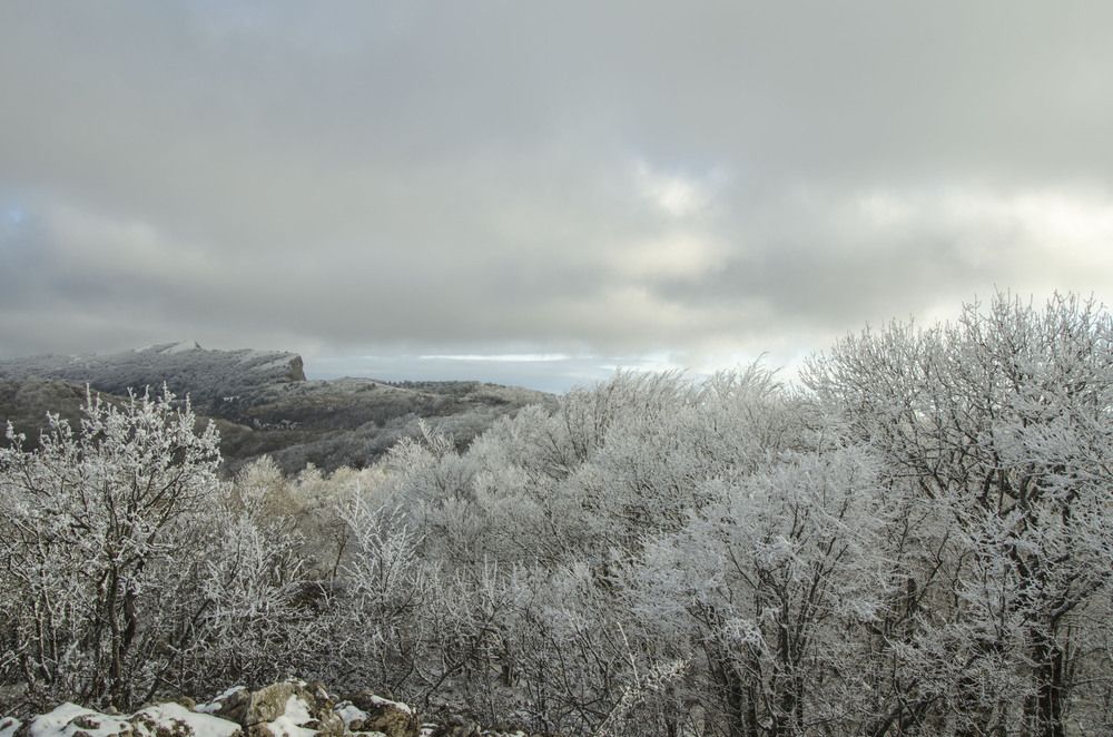 Photograph by Юрий Юрченко