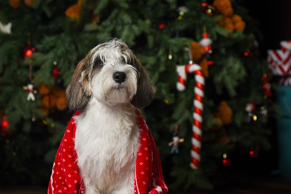 Photograph by Виктория Сафонова