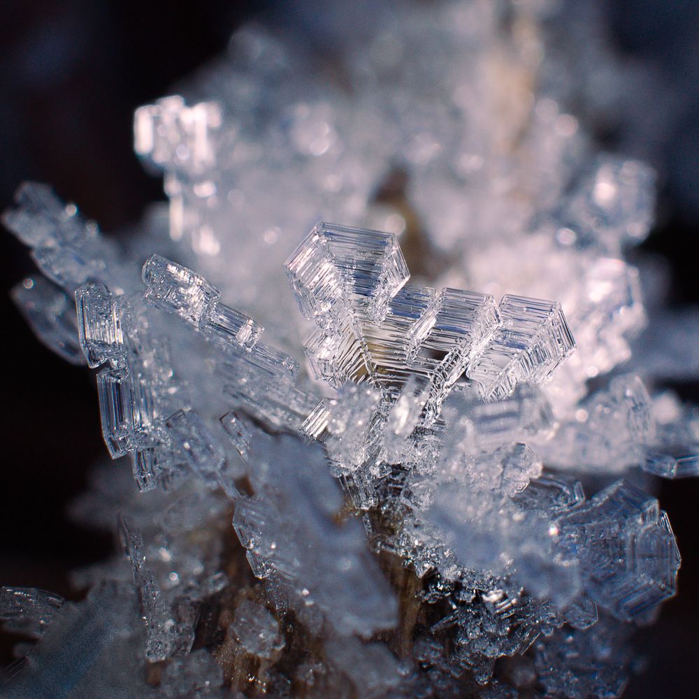 Photograph by Алексей Поляков