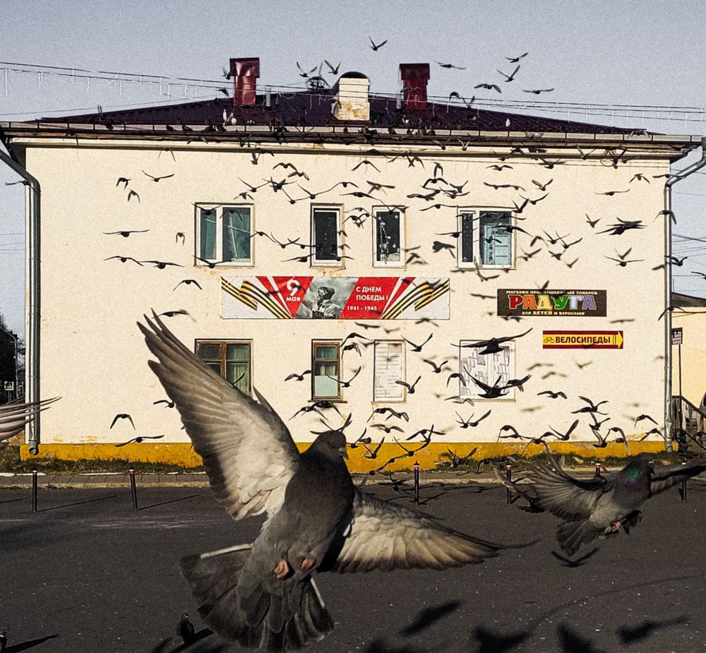 Фотография автора Людмила Казакова