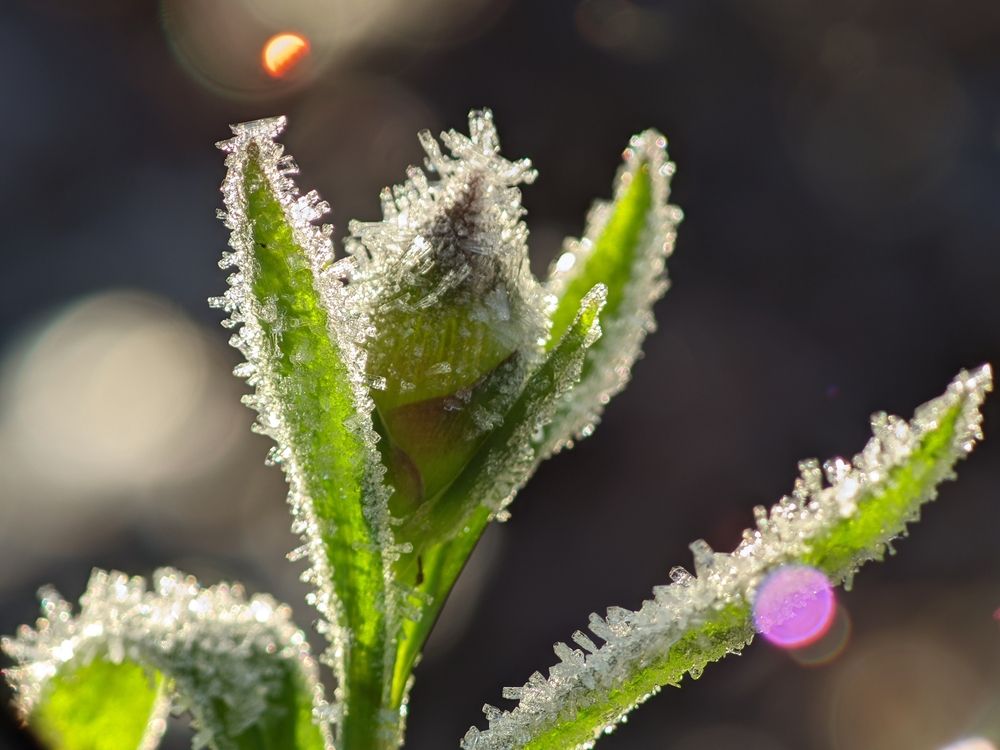 Photograph by Alexandr Gorelenkov