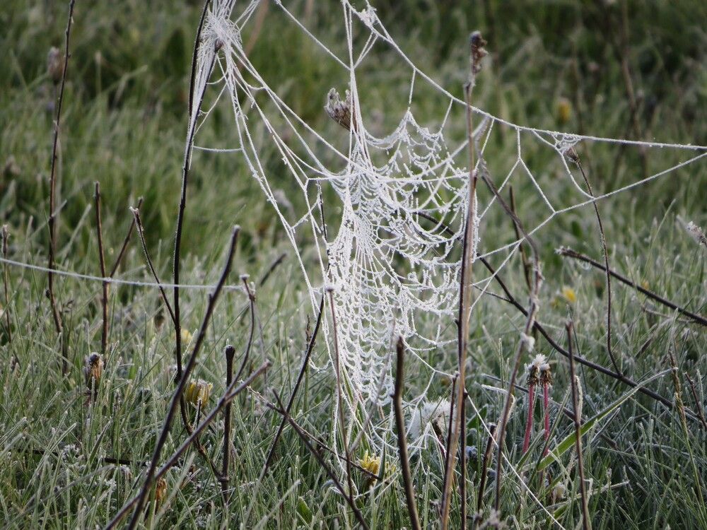 Photograph by Лариса Басова