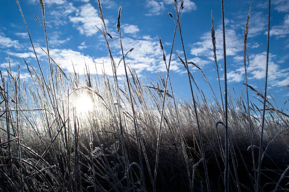 Фотография автора Юлия Кранина