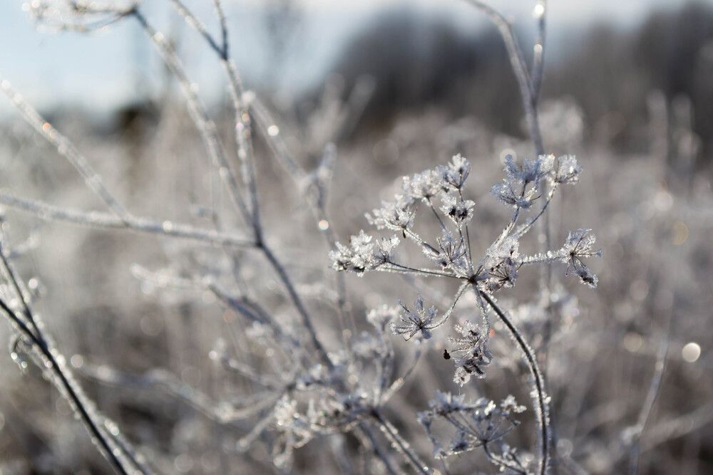 Фотография автора Юлия Кранина