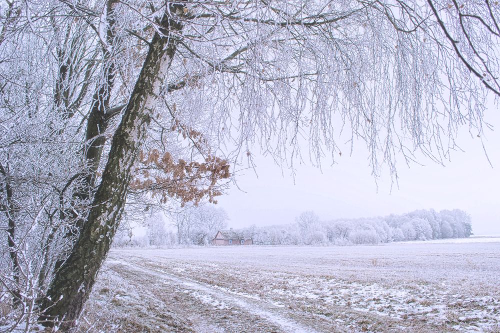 Фотография автора Юлия Кранина