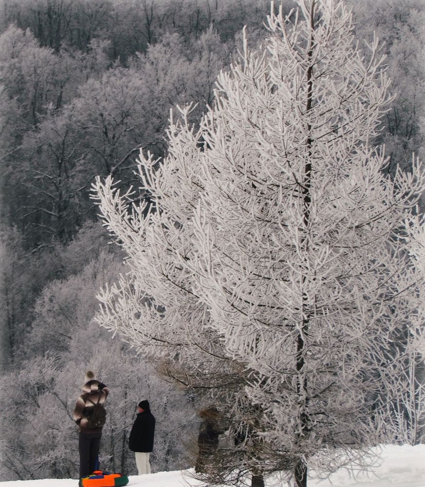 Photograph by Tatyana Markova